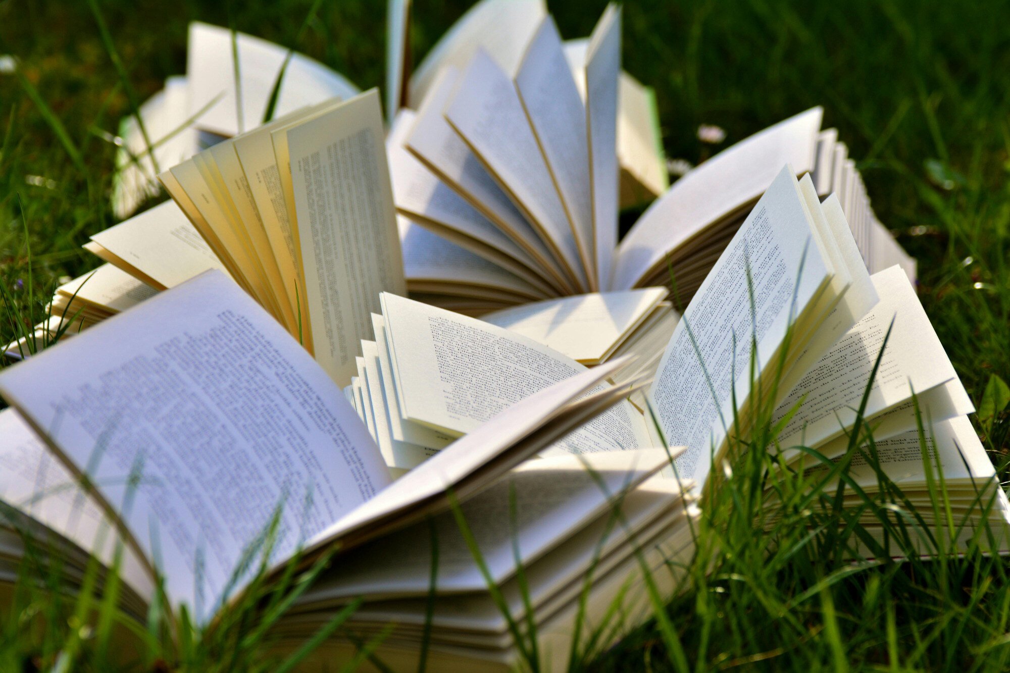 Loads of open books sitting amongst green grass.