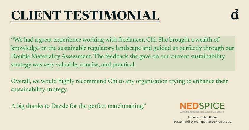 Dazzle Client Testimonial