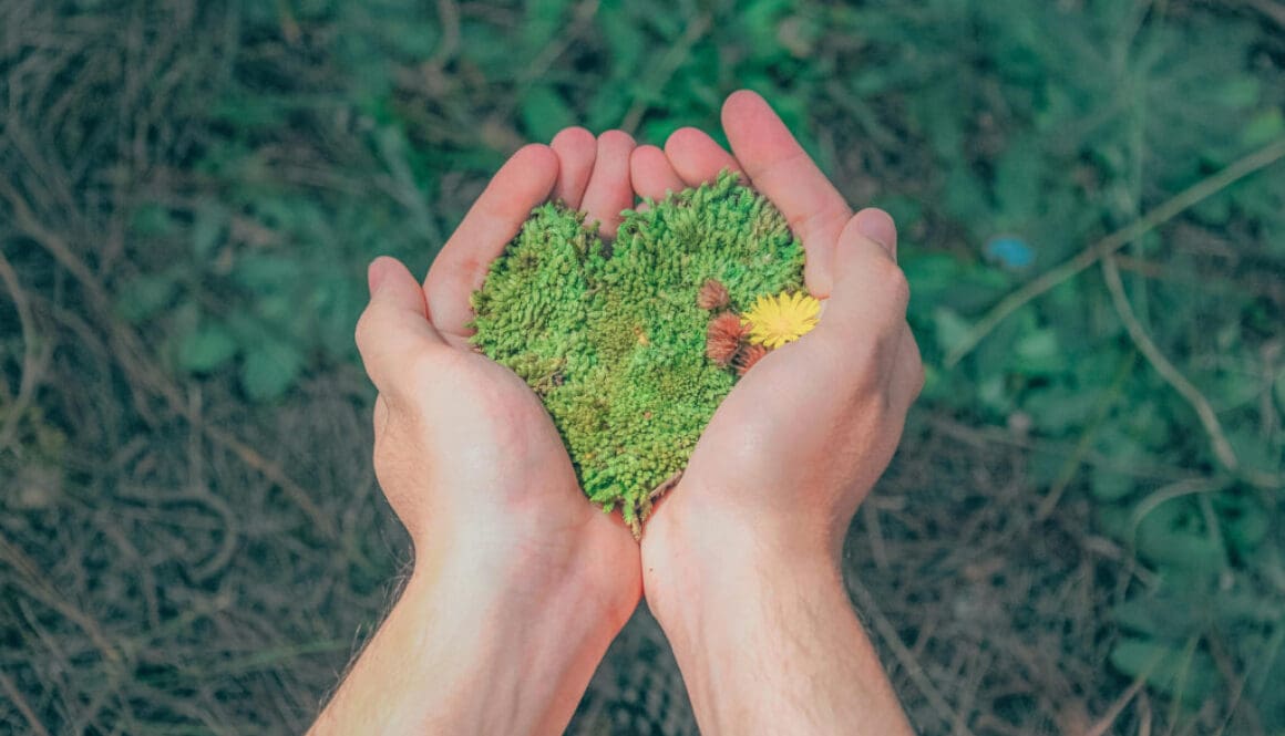 Grass-in-hands