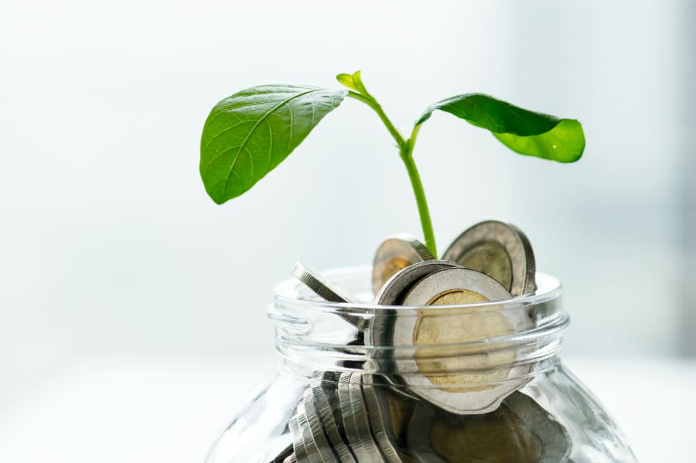 Close-up of the top of a glass jar containing coins, with a plant shoot also growing out of the jar.