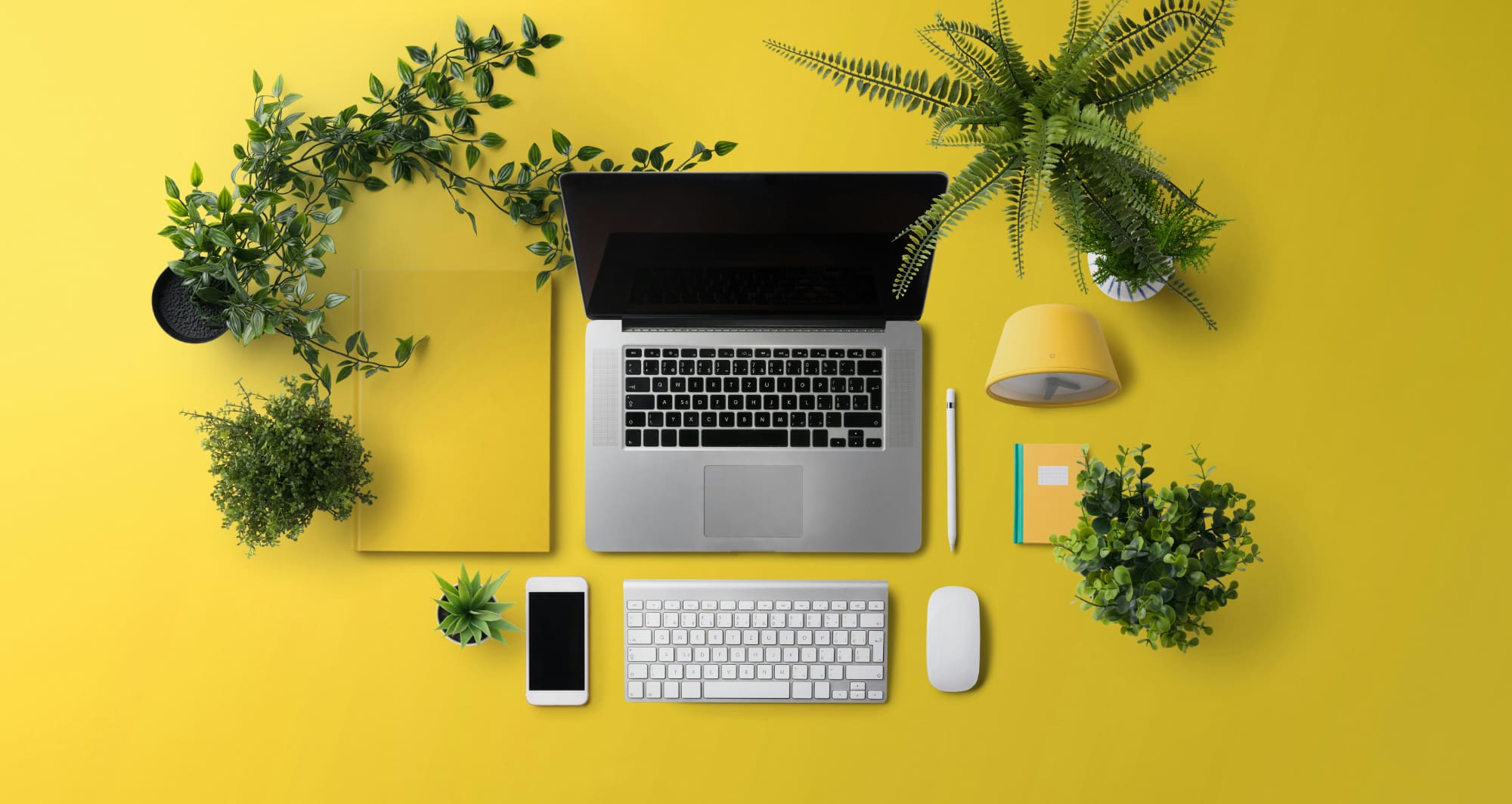 Laptop, keyboard, smartphone, and mouse on yellow desk surrounded by potted plants.