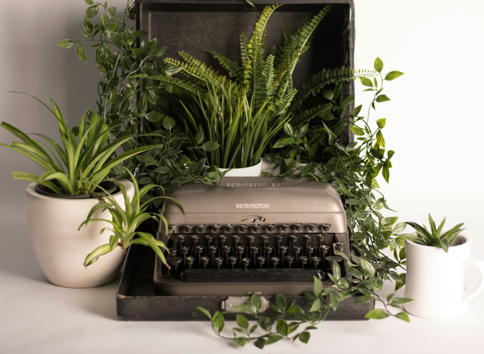 Typewriter sat on desk surrounded by green potted plants.