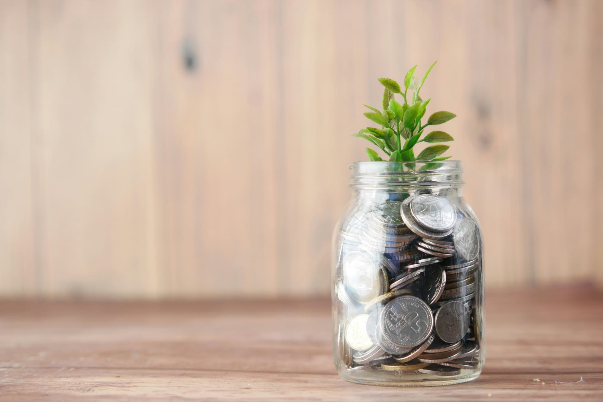 Glass jar full of silver coins with green plant growing out of the top.