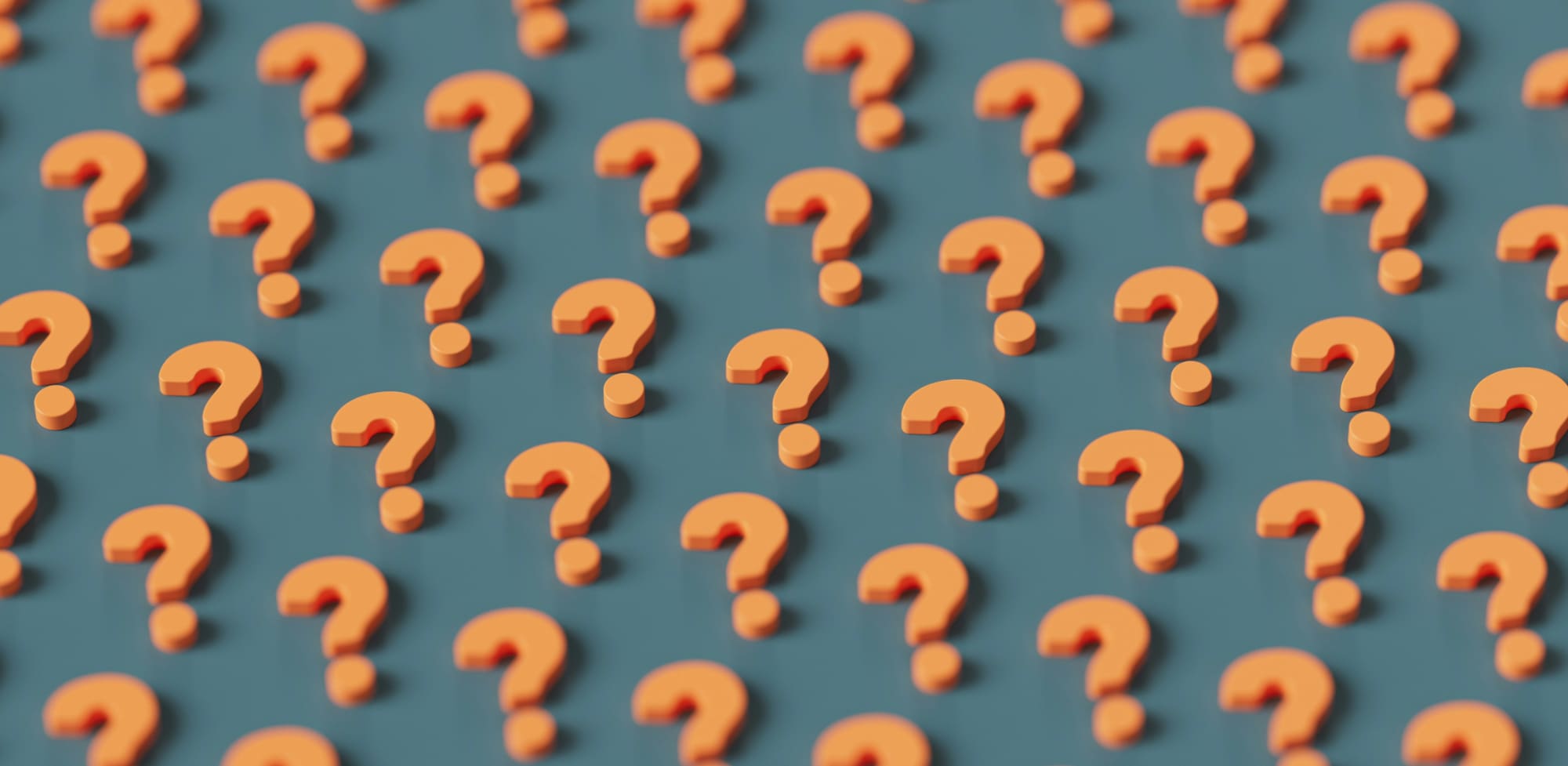 What are sustainability services?